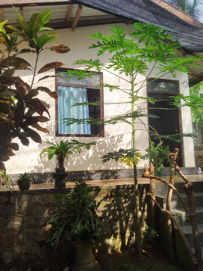 Kalimetiya Beach Cabana Hungama Ngoại thất bức ảnh