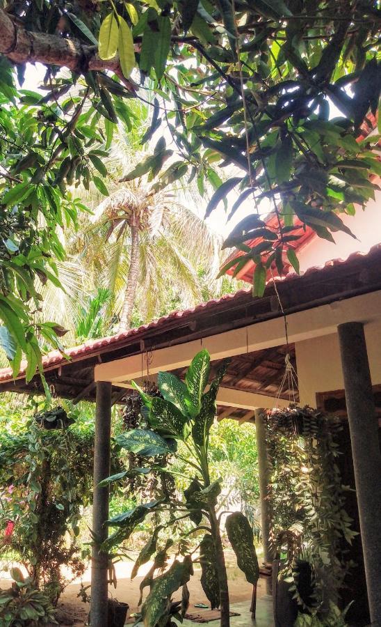 Kalimetiya Beach Cabana Hungama Ngoại thất bức ảnh