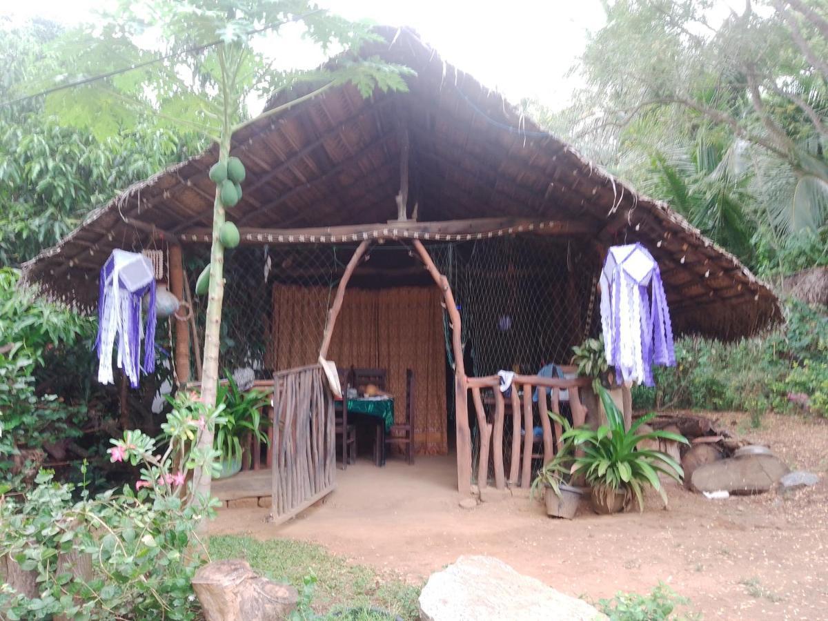 Kalimetiya Beach Cabana Hungama Ngoại thất bức ảnh
