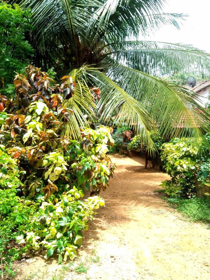 Kalimetiya Beach Cabana Hungama Ngoại thất bức ảnh