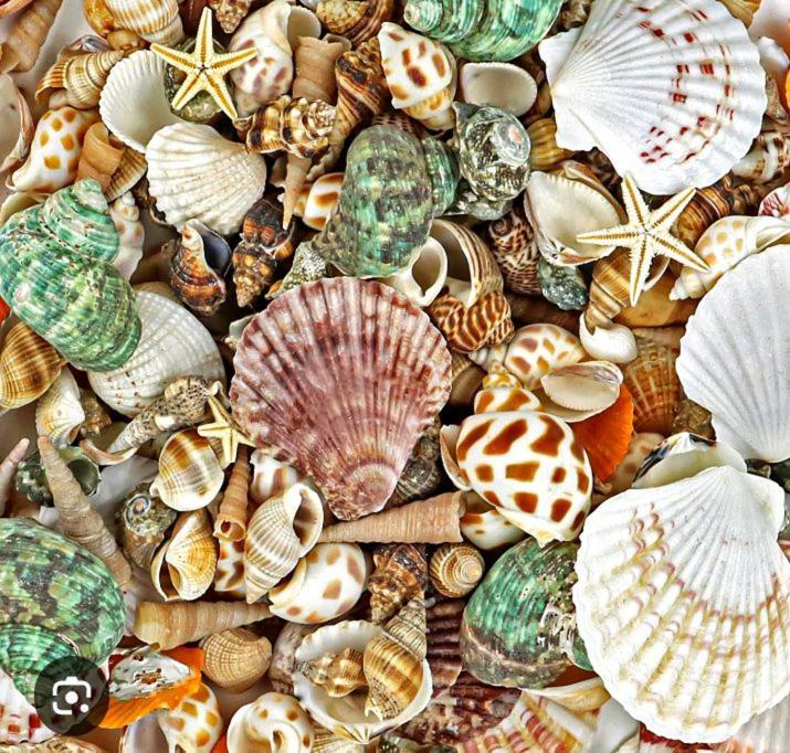 Kalimetiya Beach Cabana Hungama Ngoại thất bức ảnh