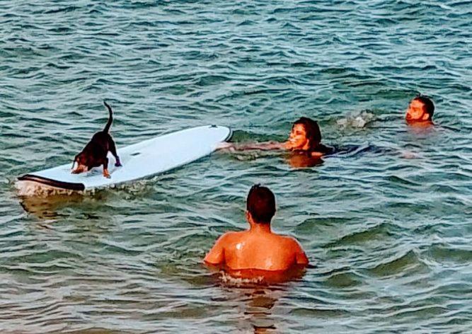 Kalimetiya Beach Cabana Hungama Ngoại thất bức ảnh